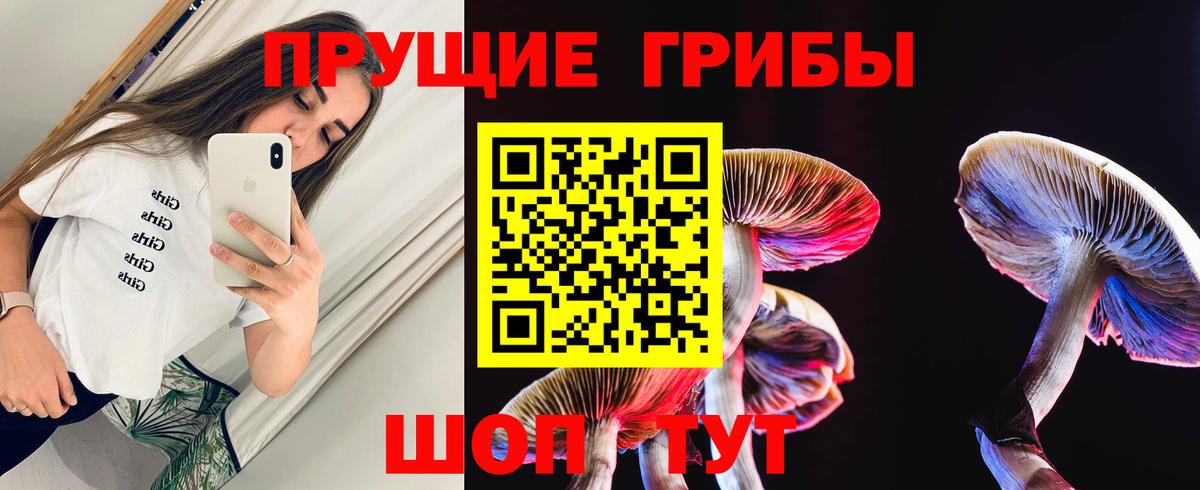 Ревда  Галлюциногенные грибы Cubensis  Вход с VPN  Галлюциногенные грибы мицелий 